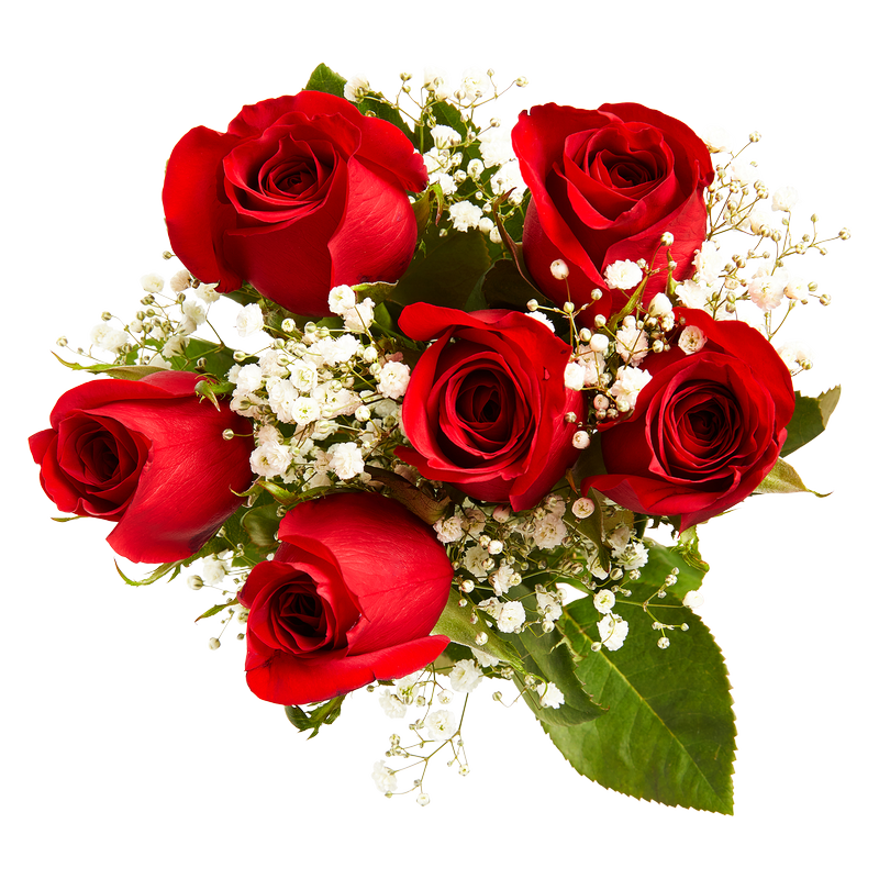 Valentine's Day Red Roses (6ct)