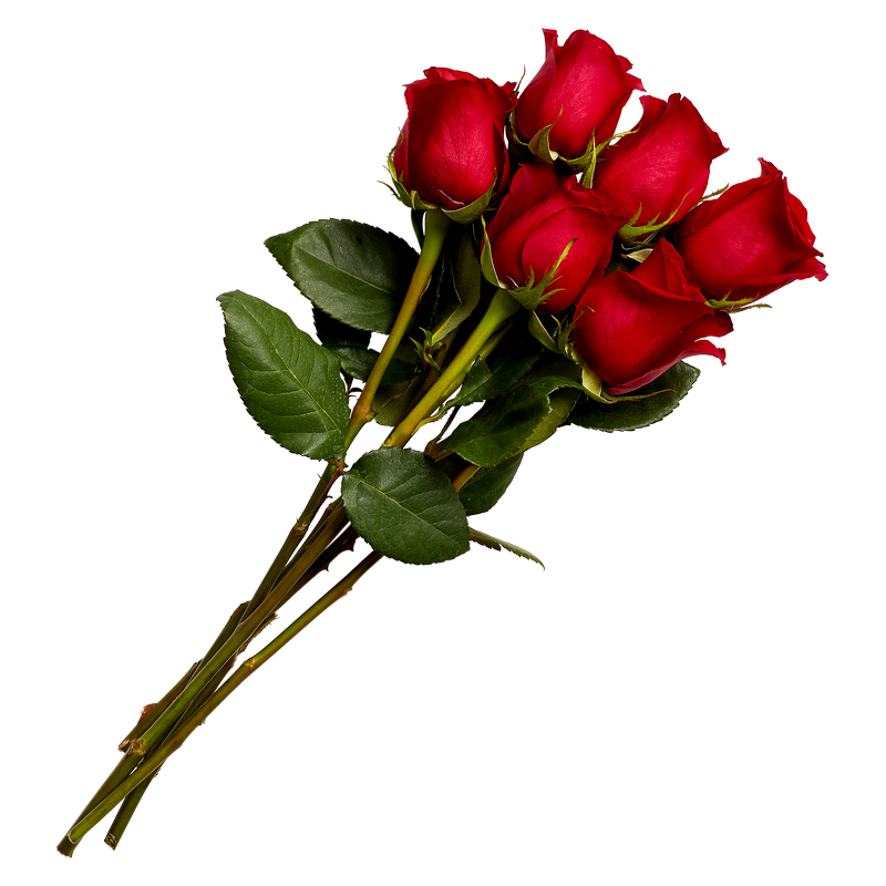 Valentine's Day Red Roses (6ct)